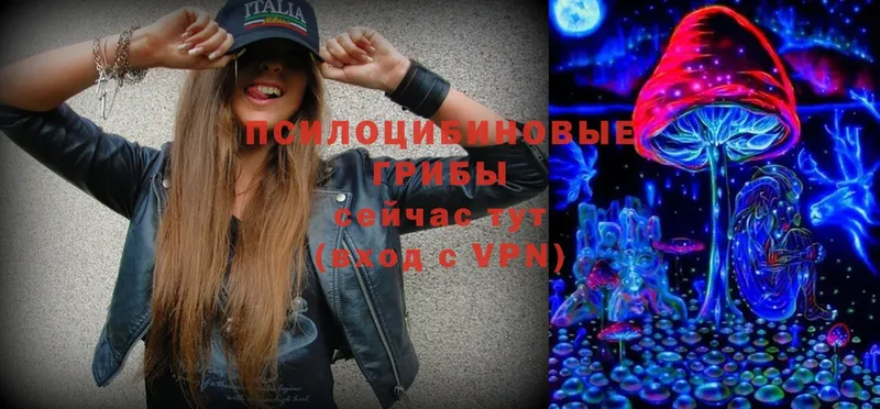 Псилоцибиновые грибы Psilocybe  omg маркетплейс  Луза 